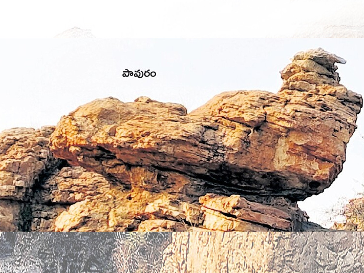 historical stone idols raathivanam in kurnool andrapradesh3