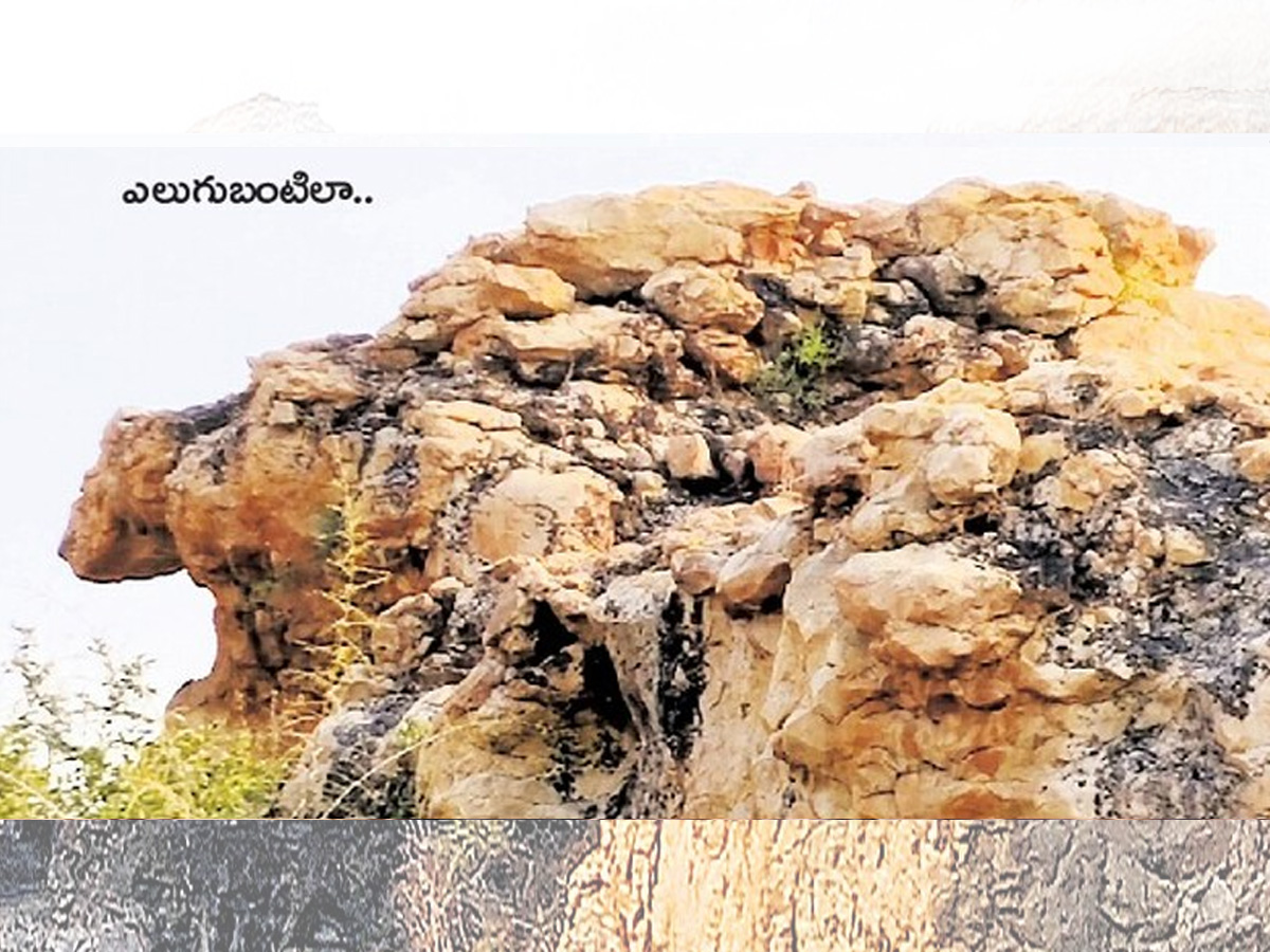 historical stone idols raathivanam in kurnool andrapradesh5