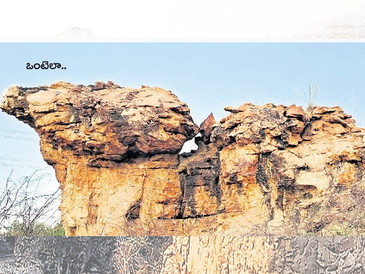 historical stone idols raathivanam in kurnool andrapradesh6