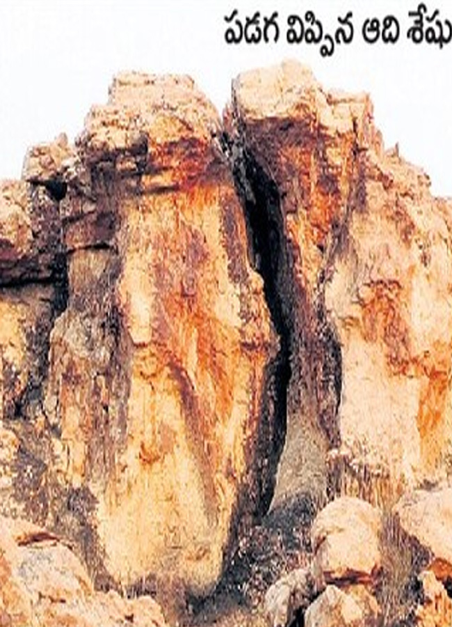 historical stone idols raathivanam in kurnool andrapradesh7