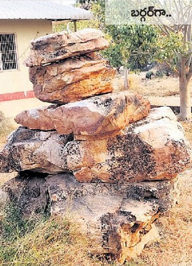 historical stone idols raathivanam in kurnool andrapradesh8