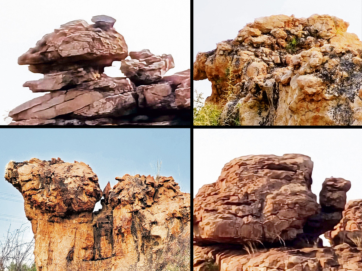 historical stone idols raathivanam in kurnool andrapradesh1