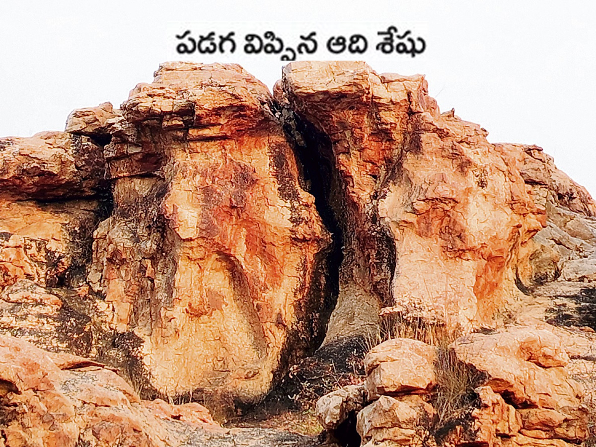 historical stone idols raathivanam in kurnool andrapradesh2