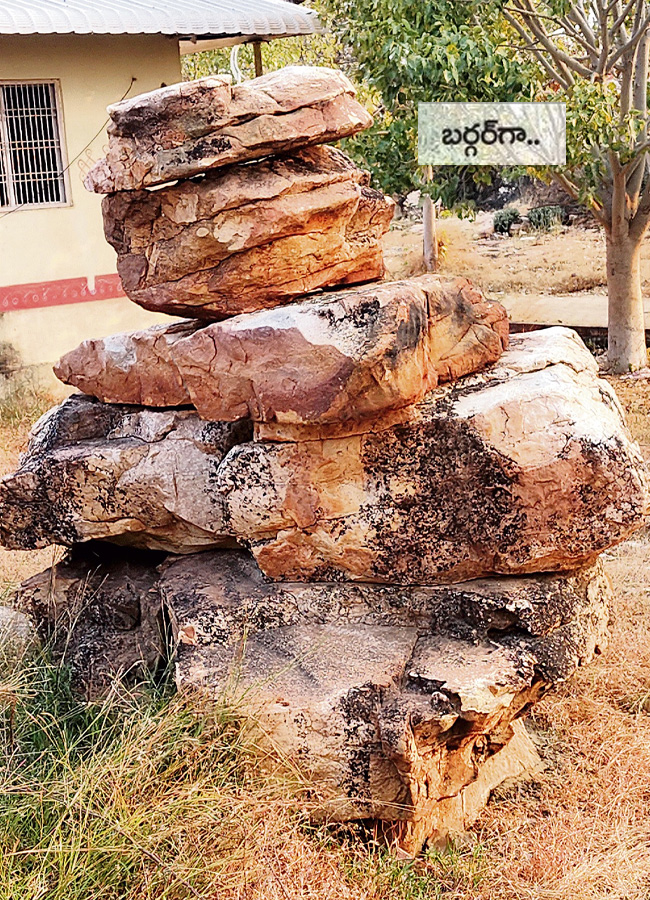 historical stone idols raathivanam in kurnool andrapradesh11