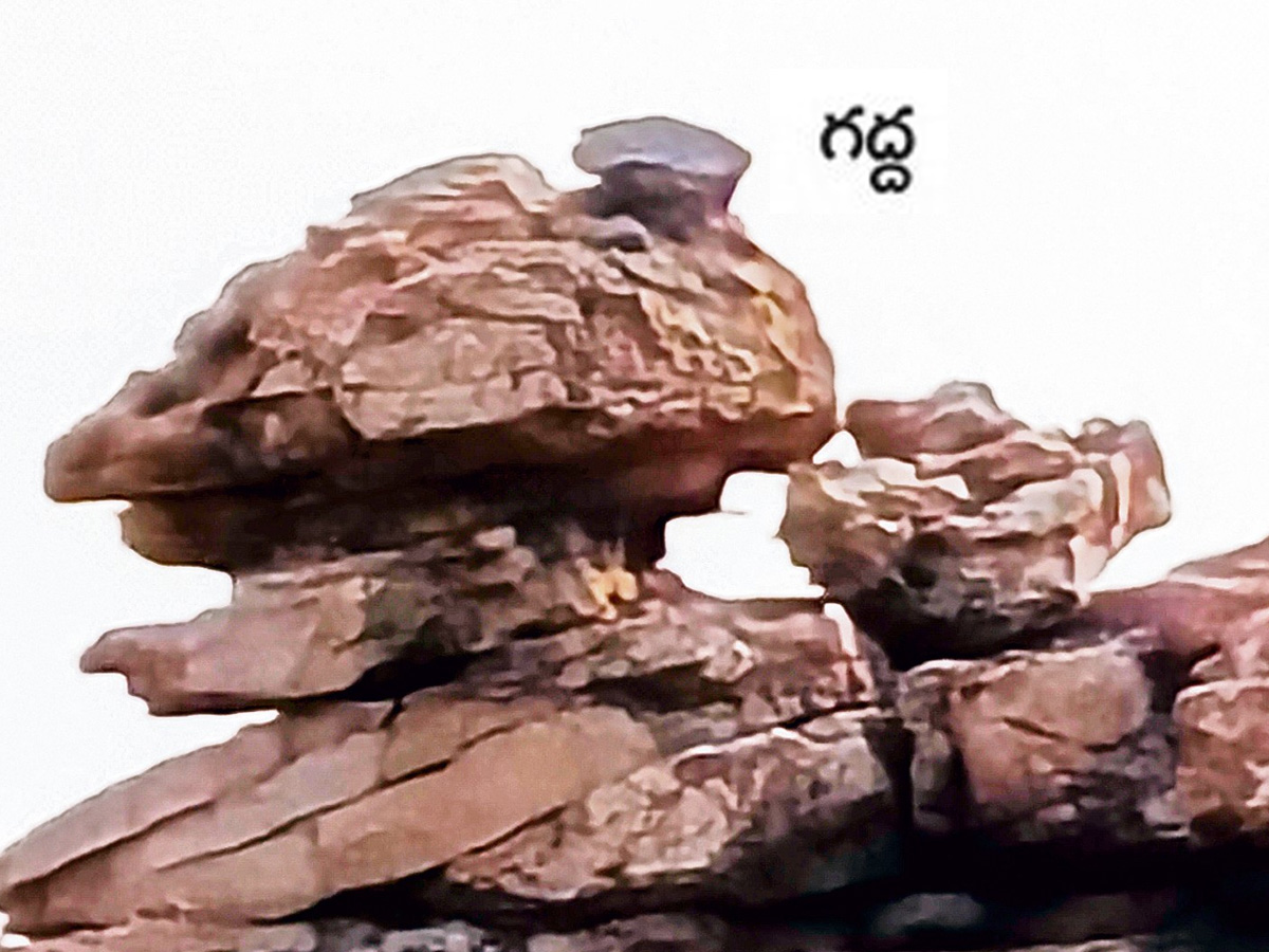 historical stone idols raathivanam in kurnool andrapradesh3