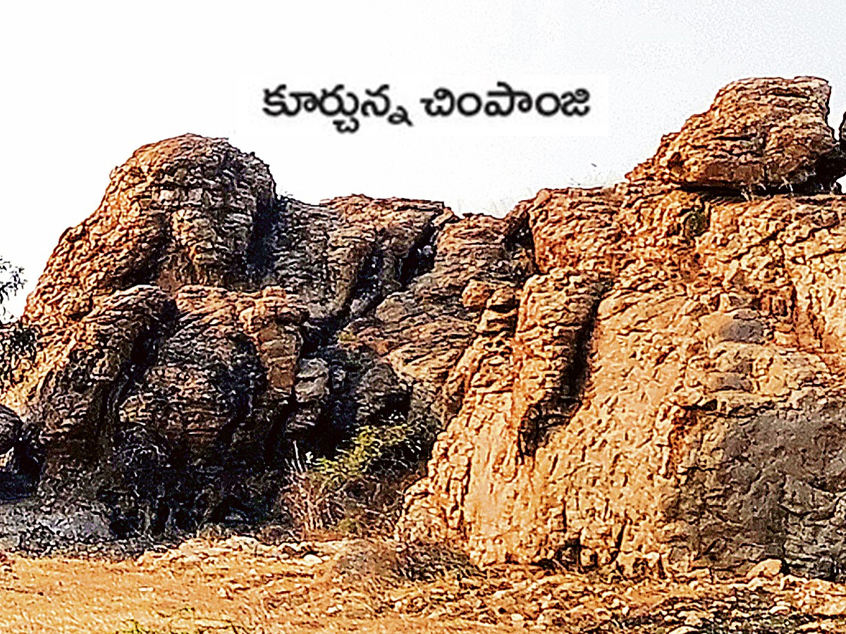 historical stone idols raathivanam in kurnool andrapradesh4