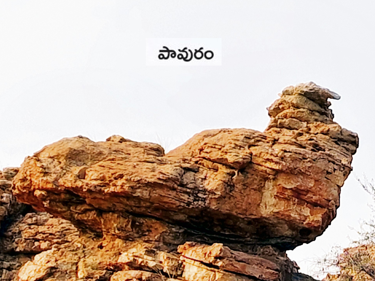 historical stone idols raathivanam in kurnool andrapradesh5