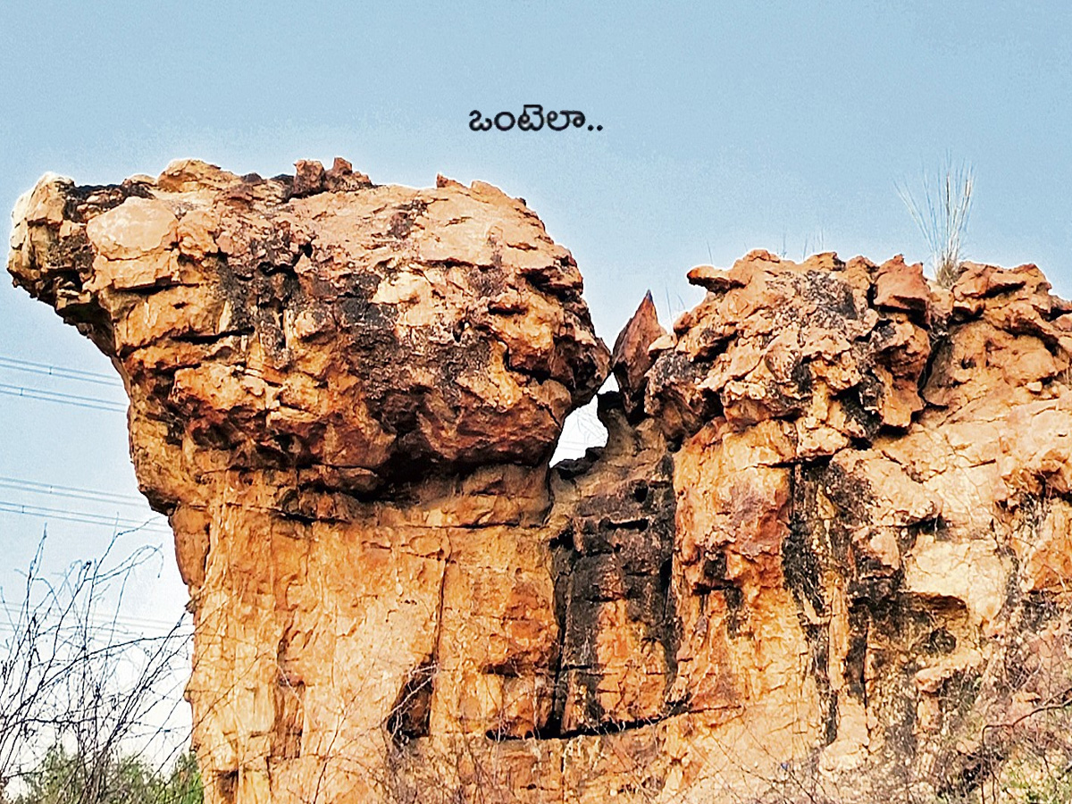 historical stone idols raathivanam in kurnool andrapradesh7