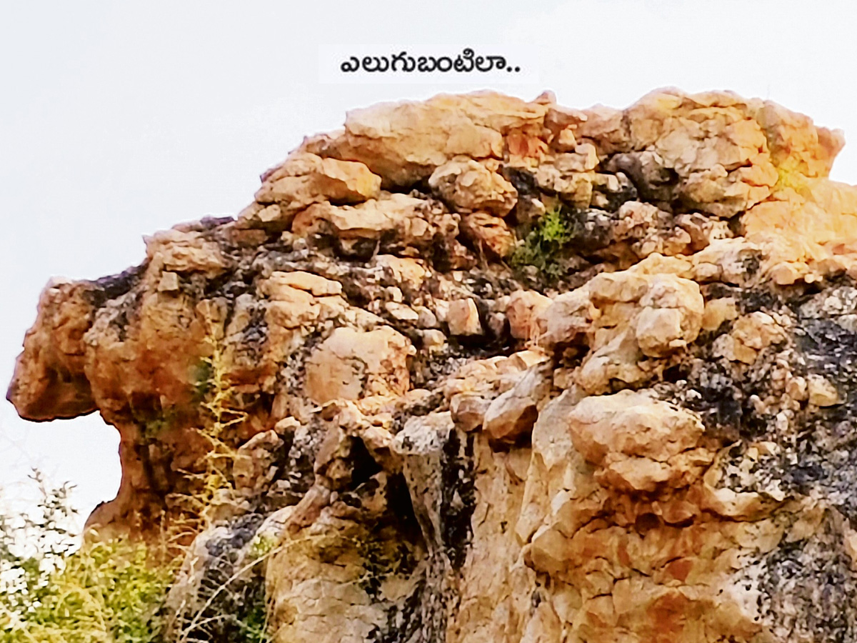 historical stone idols raathivanam in kurnool andrapradesh8