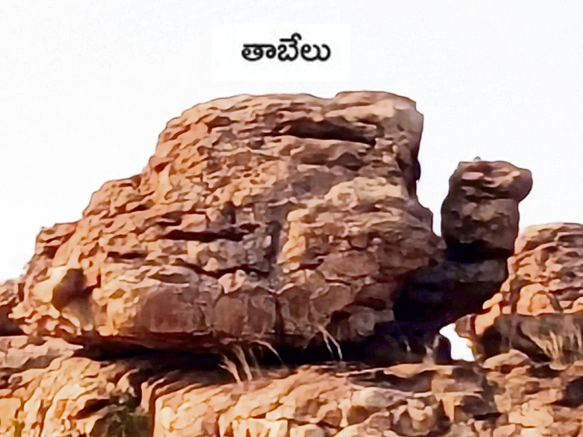 historical stone idols raathivanam in kurnool andrapradesh9