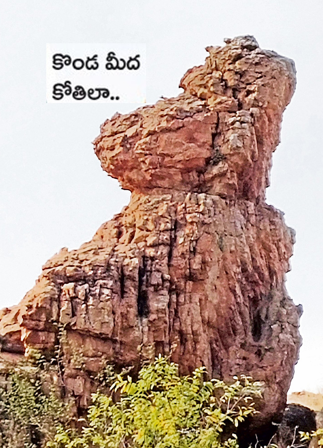 historical stone idols raathivanam in kurnool andrapradesh10