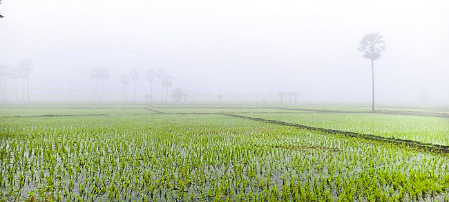 ●  ప్రకృతి మ‘హిమ’1