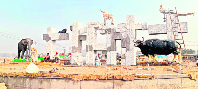 అడవికి కొత్త అందాలు..1