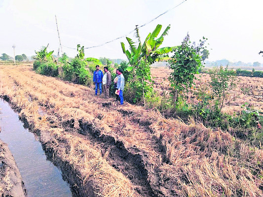 కలియ దున్నితే కలదు లాభం1