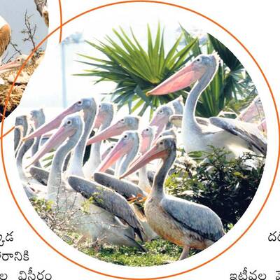 కొత్త సొబగులతో కనువిందు3