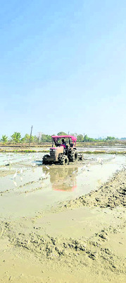 యాసంగి జోరు3