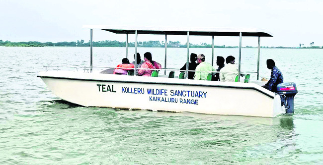 కొత్త సొబగులతో కనువిందు4