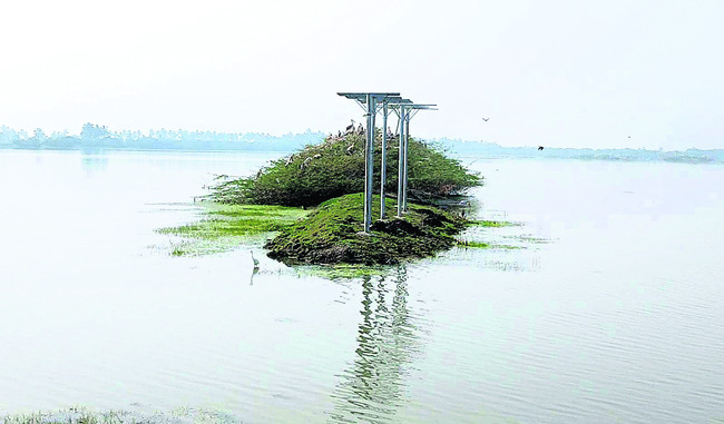 కొత్త సొబగులతో కనువిందు5