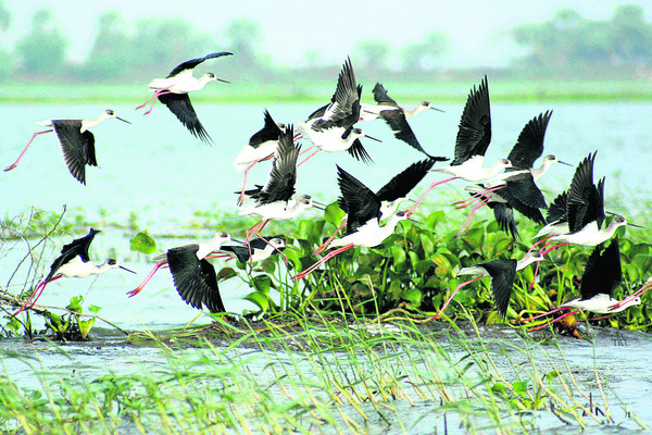 కొత్త సొబగులతో కనువిందు1