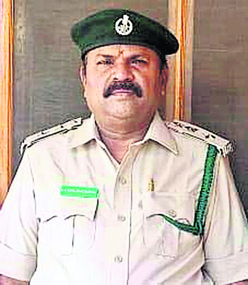 కొత్త సొబగులతో కనువిందు7