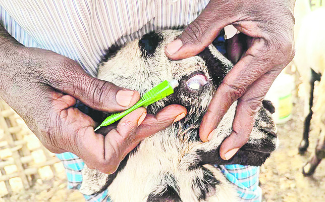 మృత్యుఘోష..! 3