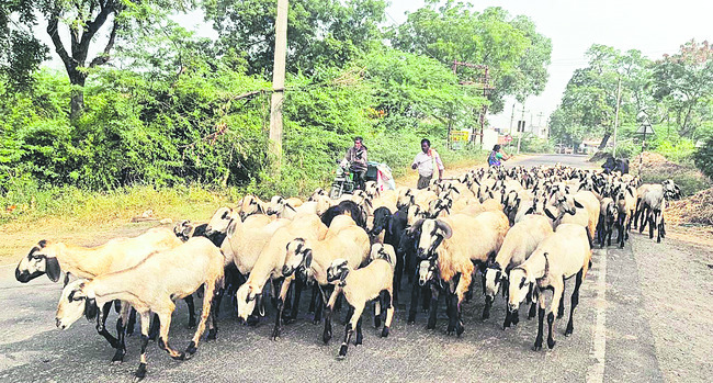 మృత్యుఘోష..! 1