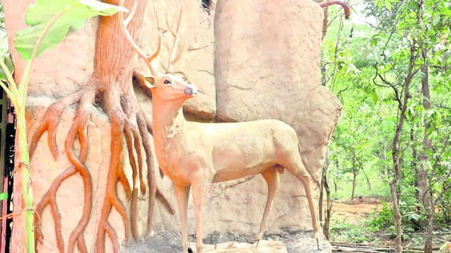 అడవికి కొత్త అందాలు..2