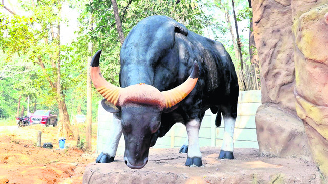 అడవికి కొత్త అందాలు..3