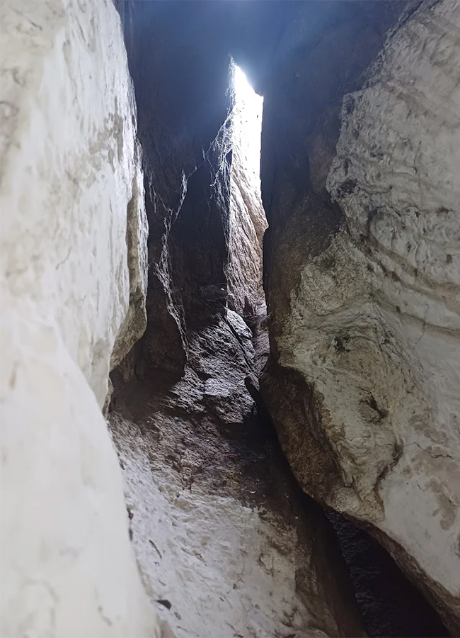 Devotional : Sri Kosagundla Lakshmi Narasimha Swamy Temple22