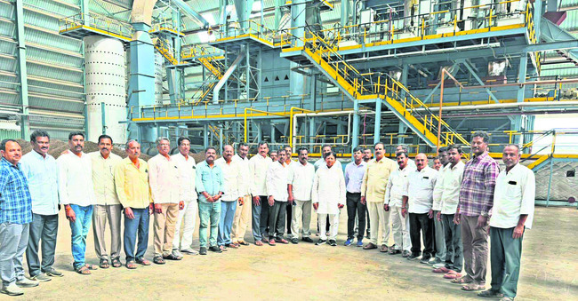 పామాయిల్‌ సాగు లాభదాయకం 1