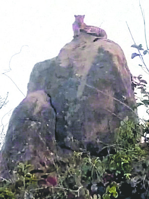 కేంద్ర ప్రభుత్వ విధానాలపై  పోరాటం: సీఐటీయూ3