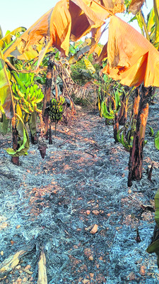 ఉపాధి చట్టం పేరు మార్పు తగదు : సీపీఎం2