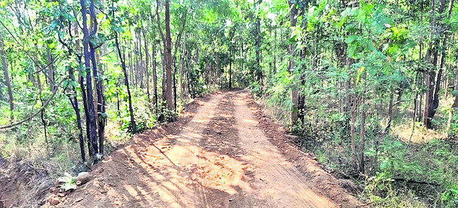 పాకాలకు సఫారీల కళ1