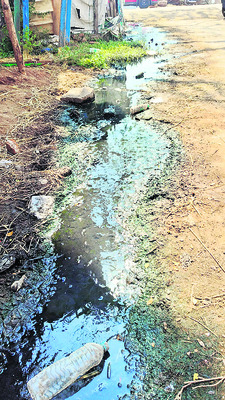 డయేరియా 1