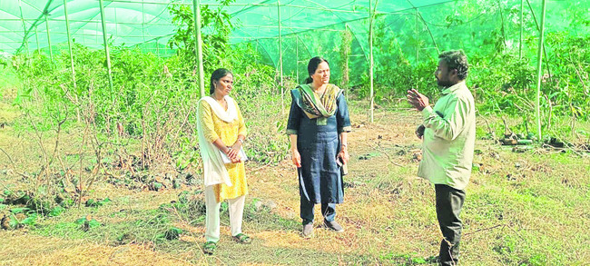 మాల్తుమ్మెద ఉద్యానక్షేత్రం  సందర్శన
1