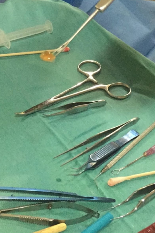 Sara Tendulkar Drops A 2016 Photo Dump Photos16