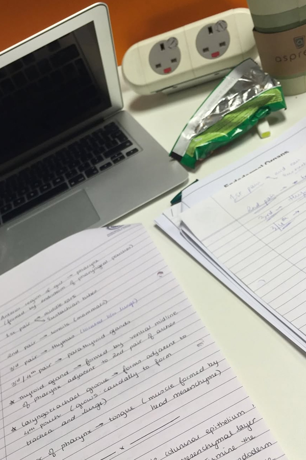 Sara Tendulkar Drops A 2016 Photo Dump Photos9