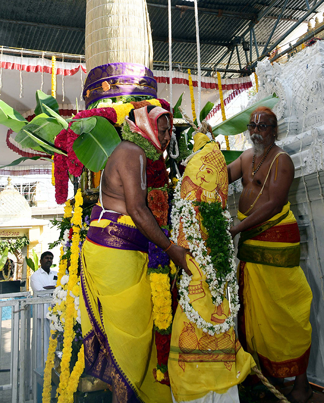 Venkateswara Swamy Brahmotsavams At Kadapa10
