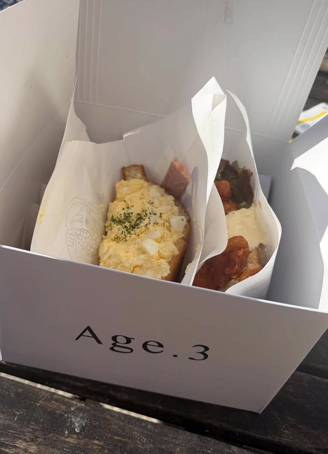 Allu Arjun's family on a trip to Japan (Photos)8