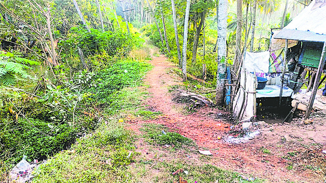 కొత్త పాటకు తాళం!2