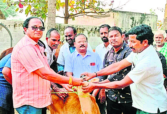 వైద్య సేవలపై ఆరా.. 1