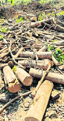 రాజవరం గడ్డ.. అక్రమార్కుల అడ్డా1