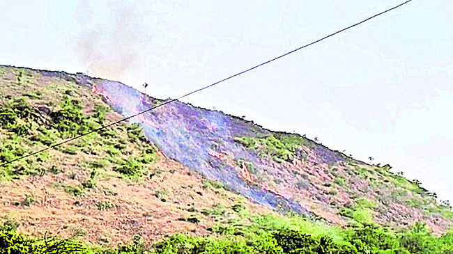 వైభవంగా వెంకటేశ్వర స్వామి కల్యాణం 1