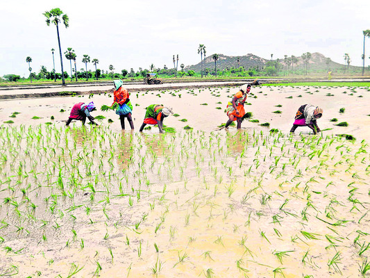 సేద్యానికి జీరామ్‌..రామ్‌1