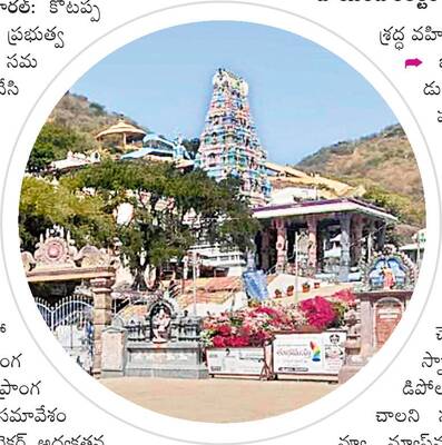 పల్నాడు1