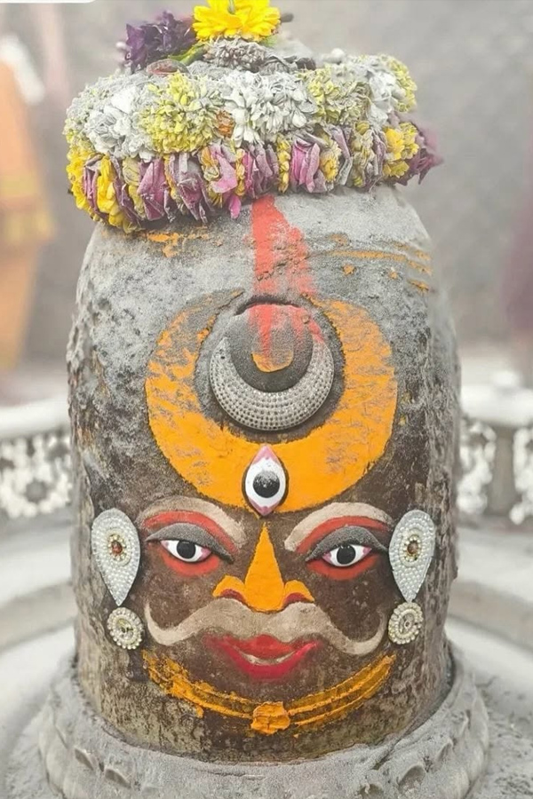 Actress Raai Laxmi worships At Ujjain Mahakaleshwar temple Photos5