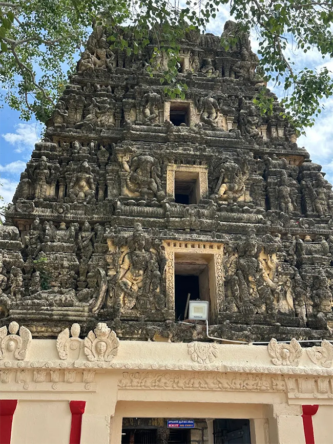 Sri Ranganthaswami Temple in Nellore, Andhra Pradesh16