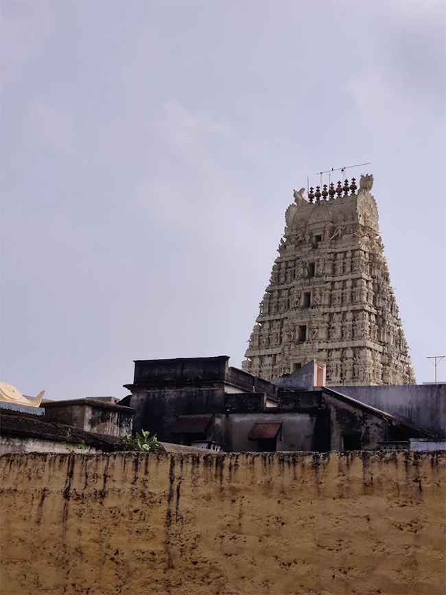Sri Ranganthaswami Temple in Nellore, Andhra Pradesh21