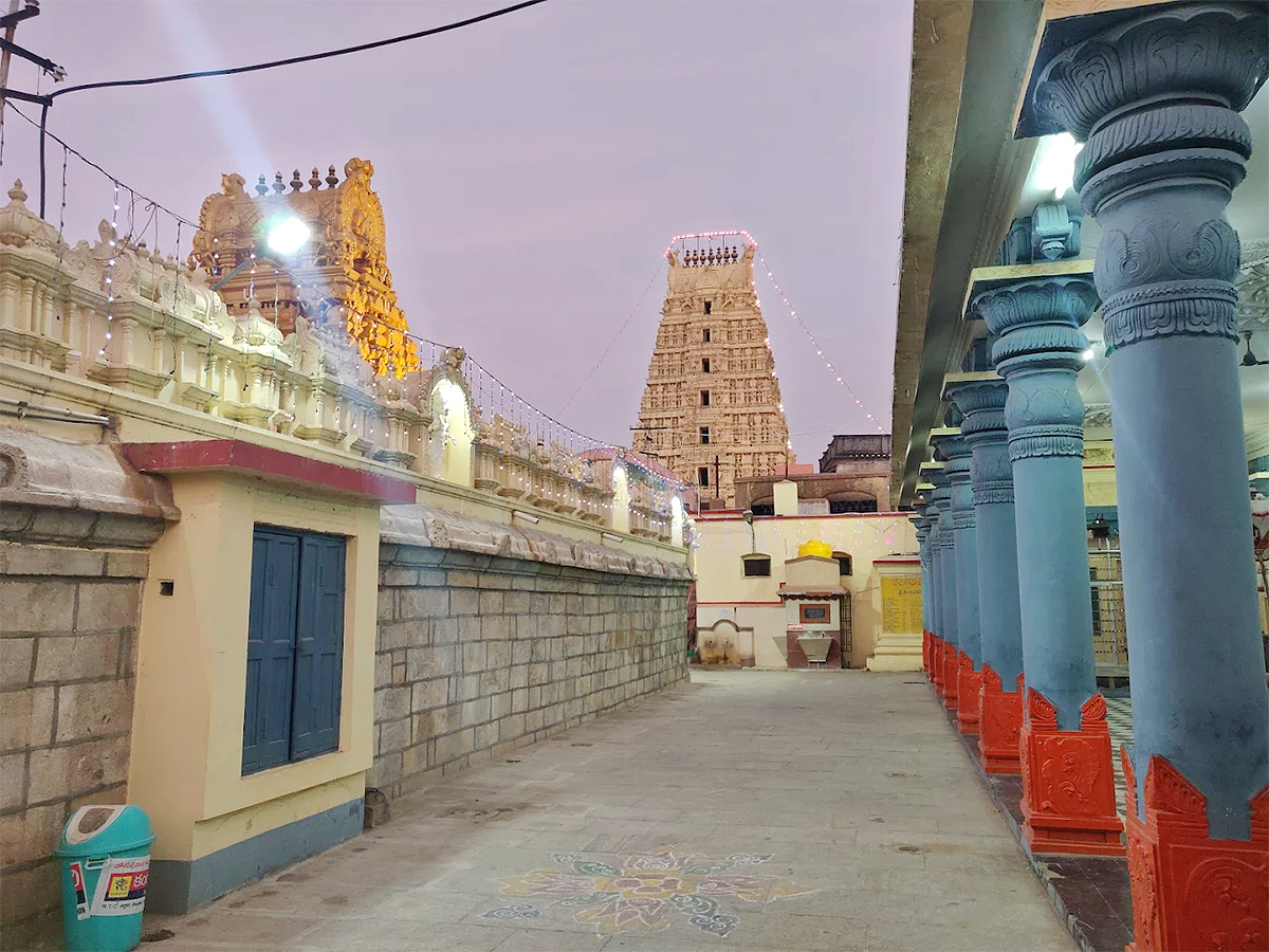 Sri Ranganthaswami Temple in Nellore, Andhra Pradesh22