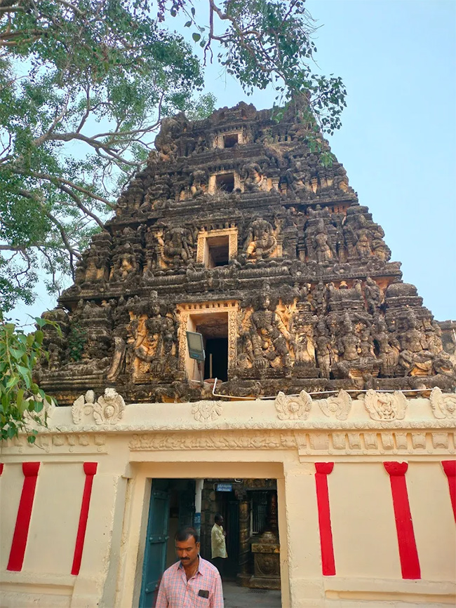 Sri Ranganthaswami Temple in Nellore, Andhra Pradesh5